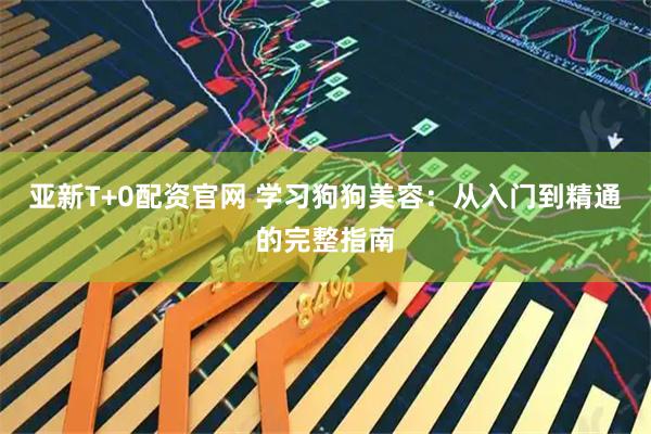 亚新T+0配资官网 学习狗狗美容：从入门到精通的完整指南