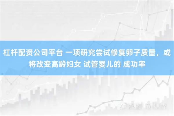 杠杆配资公司平台 一项研究尝试修复卵子质量，或将改变高龄妇女 试管婴儿的 成功率
